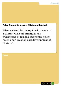 What is meant by the regional concept of a cluster? What are strengths and weaknesses of regional economic policy based upon creation and development of clusters? (eBook, ePUB) - Schuessler, Peter Tilman; Kanthak, Kristian