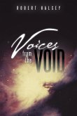 Voices from the Void (eBook, ePUB)