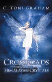 Crossroads and the Himalayan Crystals (eBook, ePUB)