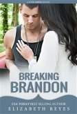 Breaking Brandon (eBook, PDF)
