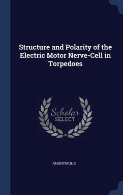 Structure and Polarity of the Electric Motor Nerve-Cell in Torpedoes - Anonymous