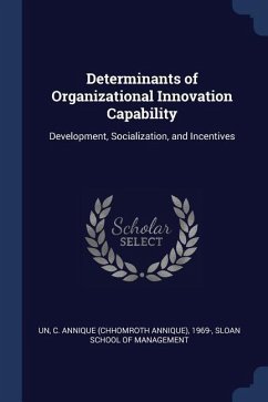 Determinants of Organizational Innovation Capability: Development, Socialization, and Incentives