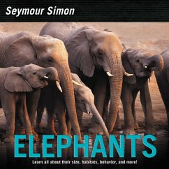 Elephants - Simon, Seymour