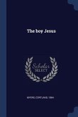 The boy Jesus