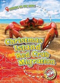 Christmas Island Red Crab Migration - Schuetz, Kari