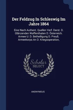 Der Feldzug In Schleswig Im Jahre 1864 - Anonymous