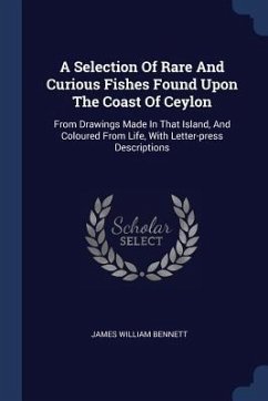 A Selection Of Rare And Curious Fishes Found Upon The Coast Of Ceylon - Bennett, James William