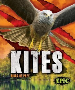 Kites - Sommer, Nathan