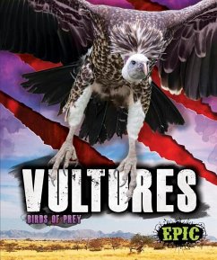 Vultures - Sommer, Nathan