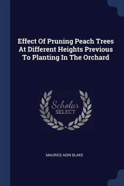 Effect Of Pruning Peach Trees At Different Heights Previous To Planting In The Orchard