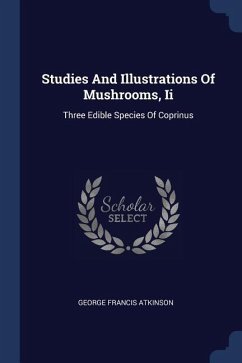 Studies And Illustrations Of Mushrooms, Ii