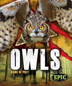 Owls - Sommer, Nathan