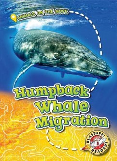 Humpback Whale Migration - Schuetz, Kari