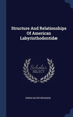 Structure And Relationships Of American Labyrinthodontidæ
