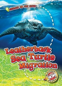 Leatherback Sea Turtle Migration - Schuetz, Kari