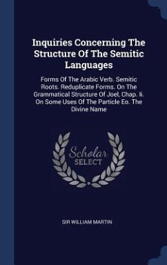 Inquiries Concerning The Structure Of The Semitic Languages - Martin, William