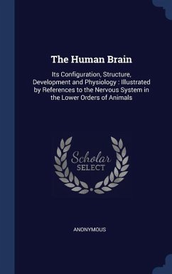 The Human Brain: Its Configuration, Structure, Development and Physiology: Illustrated by References to the Nervous System in the Lower - Anonymous