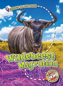 Wildebeest Migration - Schuetz, Kari