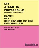 Atlantis-Protokolle Mappe 2 (eBook, ePUB)