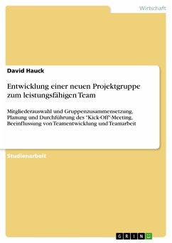 Entwicklung einer neuen Projektgruppe zum leistungsfähigen Team (eBook, ePUB) - Hauck, David