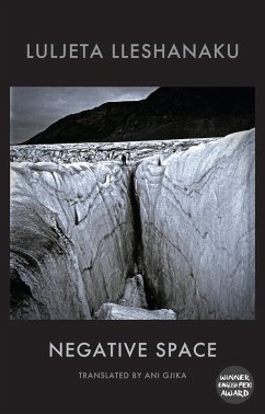 Negative Space (eBook, ePUB) - Lleshanaku, Luljeta