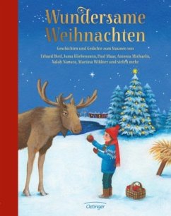 Wundersame Weihnachten - Andresen, Kristina;Michaelis, Antonia;Obrecht, Bettina