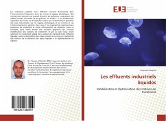 Les effluents industriels liquides - El Kacimi, Younes