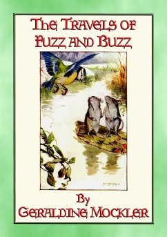 THE TRAVELS OF FUZZ AND BUZZ - The Unexpected Adventures of Two Field Mice (eBook, ePUB) - Mockler, Geraldine; by S. B. Pearse, Illustrated