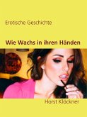 Wie Wachs in ihren Händen (eBook, ePUB)