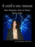 O Lumină În Inima Tenebrelor (eBook, ePUB)