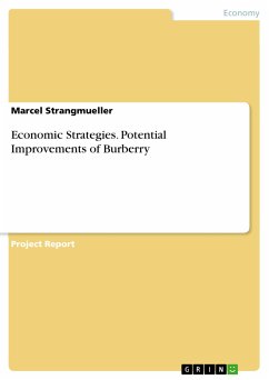 Economic Strategies. Potential Improvements of Burberry (eBook, PDF)