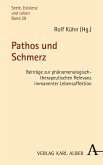 Pathos und Schmerz (eBook, PDF)