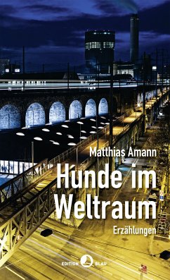 Hunde im Weltraum (eBook, ePUB) - Amann, Matthias