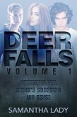 Deer Falls (eBook, ePUB)