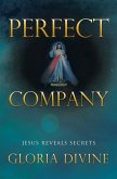 Perfect Company (eBook, ePUB)