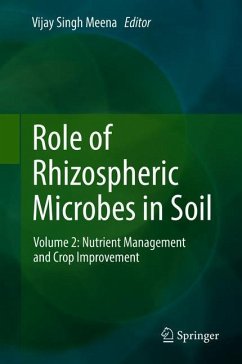 Role of Rhizospheric Microbes in Soil