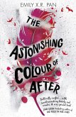 The Astonishing Colour of After (eBook, ePUB)
