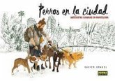 Perros en la ciudad