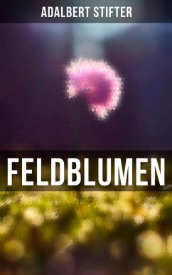 Feldblumen (eBook, ePUB) - Stifter, Adalbert