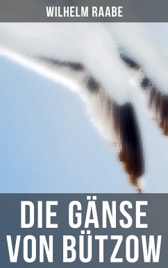 Die Gänse von Bützow (eBook, ePUB) - Raabe, Wilhelm