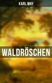 Waldröschen (eBook, ePUB)