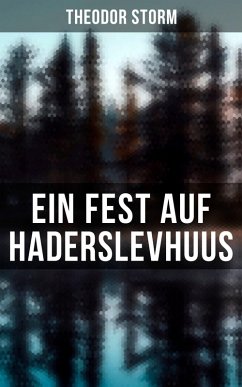 Cover Ein Fest auf Haderslevhuus (eBook, ePUB)
