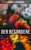 Der Besondere (eBook, ePUB)