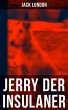 Jerry der Insulaner (eBook, ePUB) - Bild 1