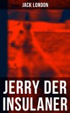 Jerry der Insulaner (eBook, ePUB)