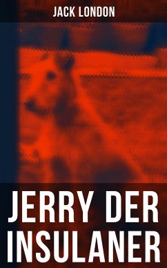 Jerry der Insulaner (eBook, ePUB) - London, Jack