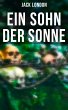 Ein Sohn der Sonne (eBook, ePUB) - Bild 1