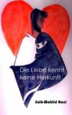 Die Liebe kennt keine Herkunft (eBook, ePUB)