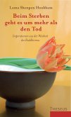 Beim Sterben geht es um mehr als den Tod (eBook, ePUB)