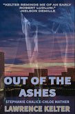 Out of the Ashes (Heat Beat Thrillers, #1) (eBook, ePUB)